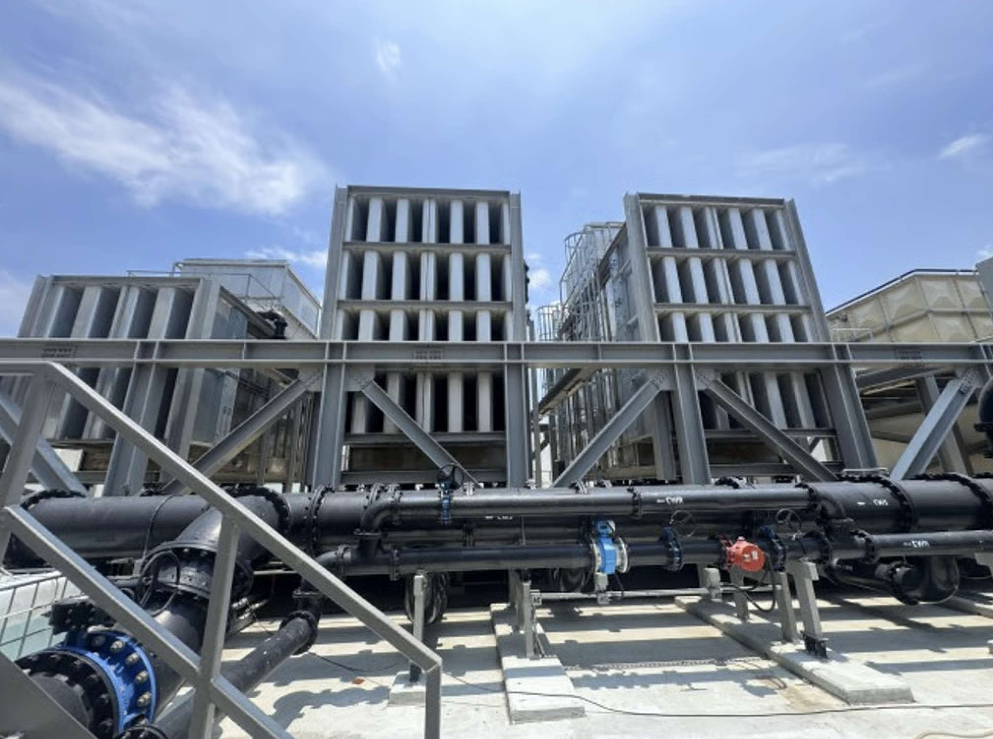 SCMP: Green initiatives make HKIS campus a living laboratory SCMP: Green initiatives make HKIS campus a living laboratory